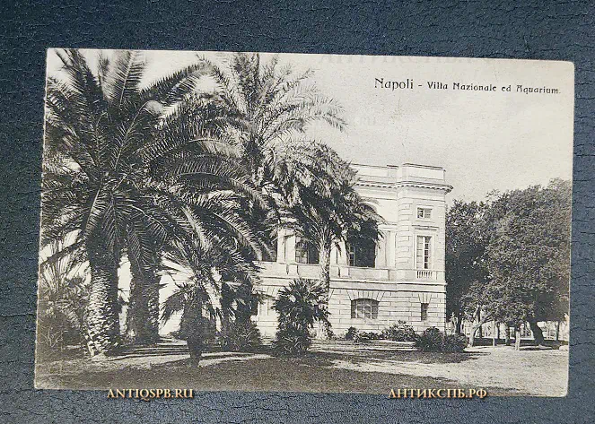 Открытка старинная "Napoli. Villa Nationale ed Aquarium" Неаполь Италия Нач. ХХ века №6557